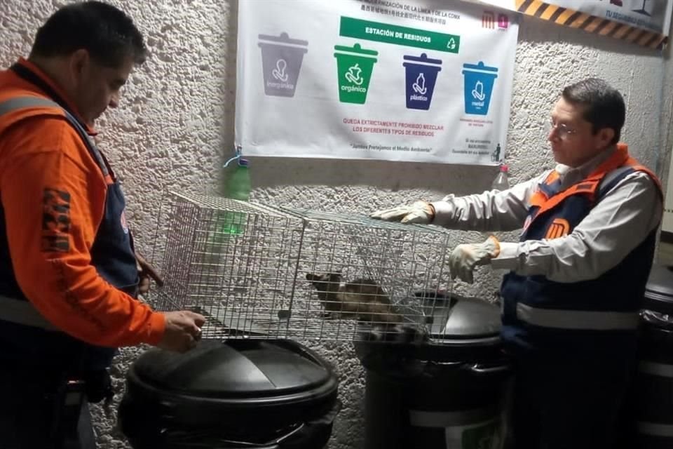 El animal fue resguardado por servicios de emergencia en las vías del Metro.