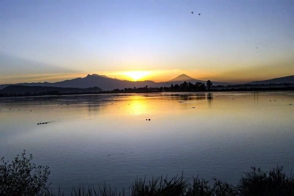 Los humedales del Lago Tláhuac-Xico se ubican 66.3 por ciento en la Ciudad de México y 33.6 por ciento en el Estado de México.