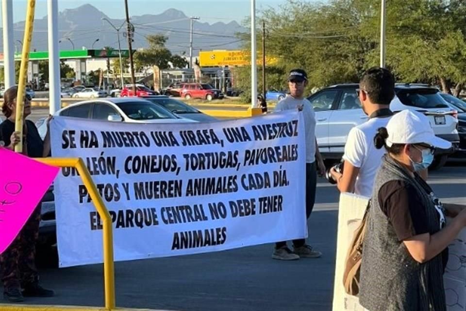 Grupos de animalistas realizaron múltiples protestas por las condiciones en las que se encontraba la jirafa en el Parque Central de la región fronteriza.