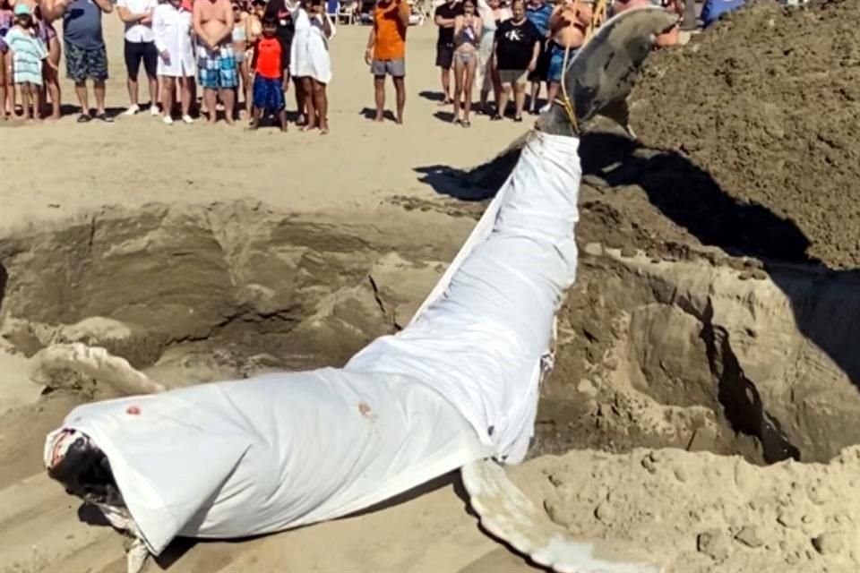 El ejemplar fue sepultado en la playa ante la presencia de turistas.