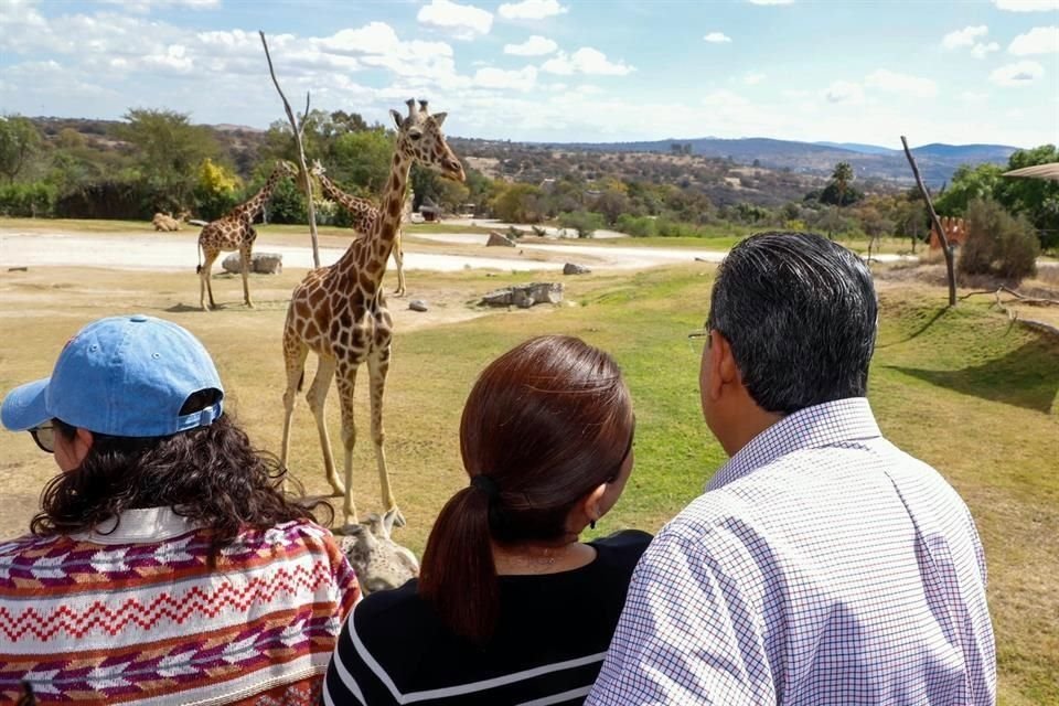 El Gobernador de Puebla, Sergio Salomón, dio la bienvenida a 'Benito'.