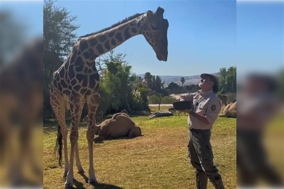 Benito conocerá mañana a su nueva familia.