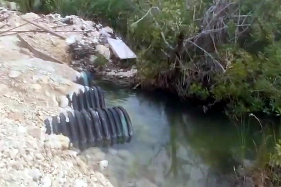 Así luce el estero Chac en  Bacalar.