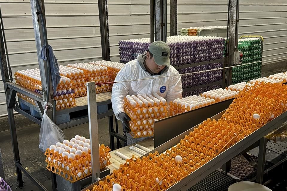 La población desocupada en México fue de un millón 560 mil 444 personas en abril pasado.