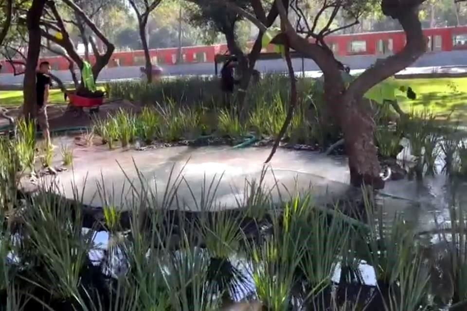 El agua se desbordó sobre el jardín de un camellón cerca de la estación Indios Verdes del Metro.