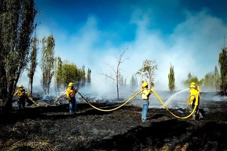 'Del 1 de enero al 5 de diciembre de 2024, en la Megalópolis se han atendido 3 mil 122 incendios forestales', indicó un informe de la Conafor. 