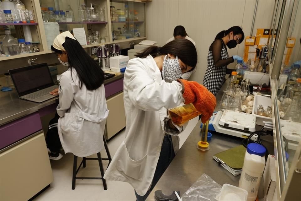 La UAM imparte 83 licenciaturas en sus 5 unidades académicas.