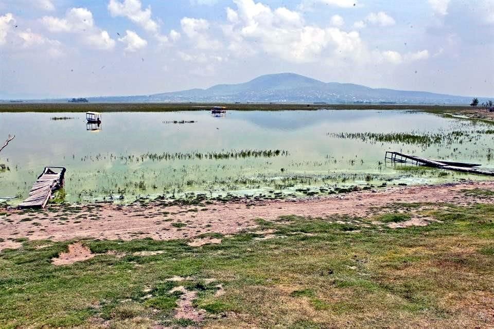 2013. El problema principal era la calidad del agua y la proliferación de lirio. Un año antes se elaboró un plan de rescate para atacar ambas problemáticas.