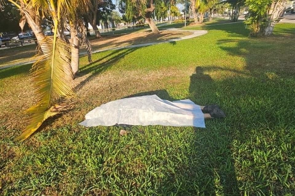 El cuerpo quedó tendido sobre un jardín del fraccionamiento.