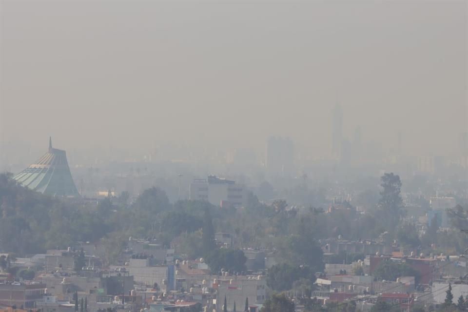 El ozono se genera cuando las emisiones de los vehículos automotores reaccionan a la energía solar. 