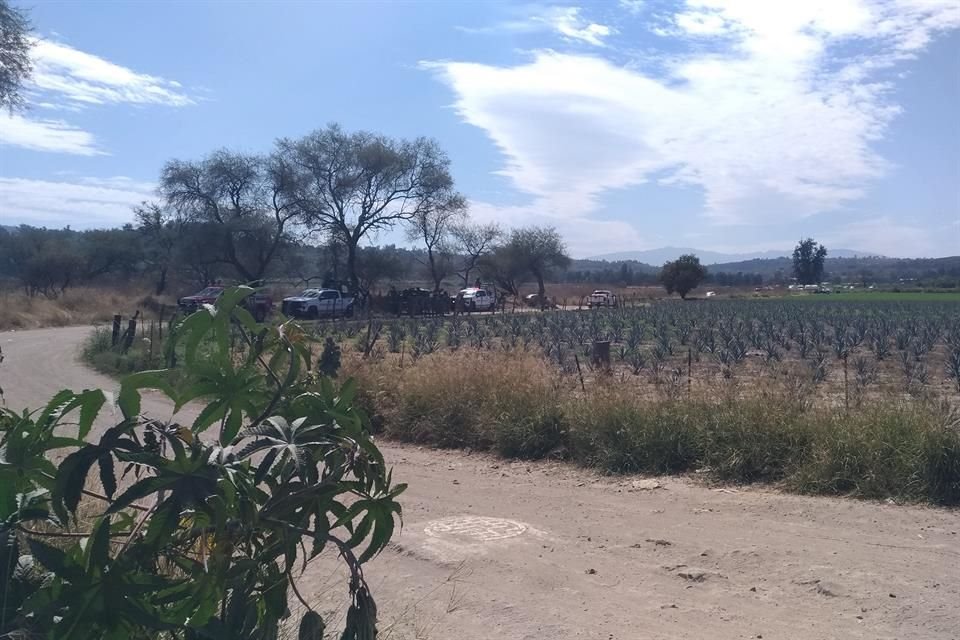 Autoridades mantienen inhabilitado un radio de 600 metros a la redonda de la zona donde ocurrió fuga de combustible en Tololotlán, Tonalá.