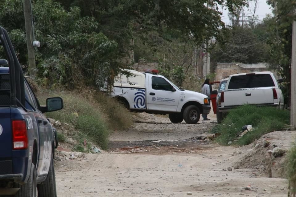 Mientras trabajadores de varias huertas de Tonalá recolectaban flores para vender, a unos metros, personal del IJCF acudió por un cadáver.