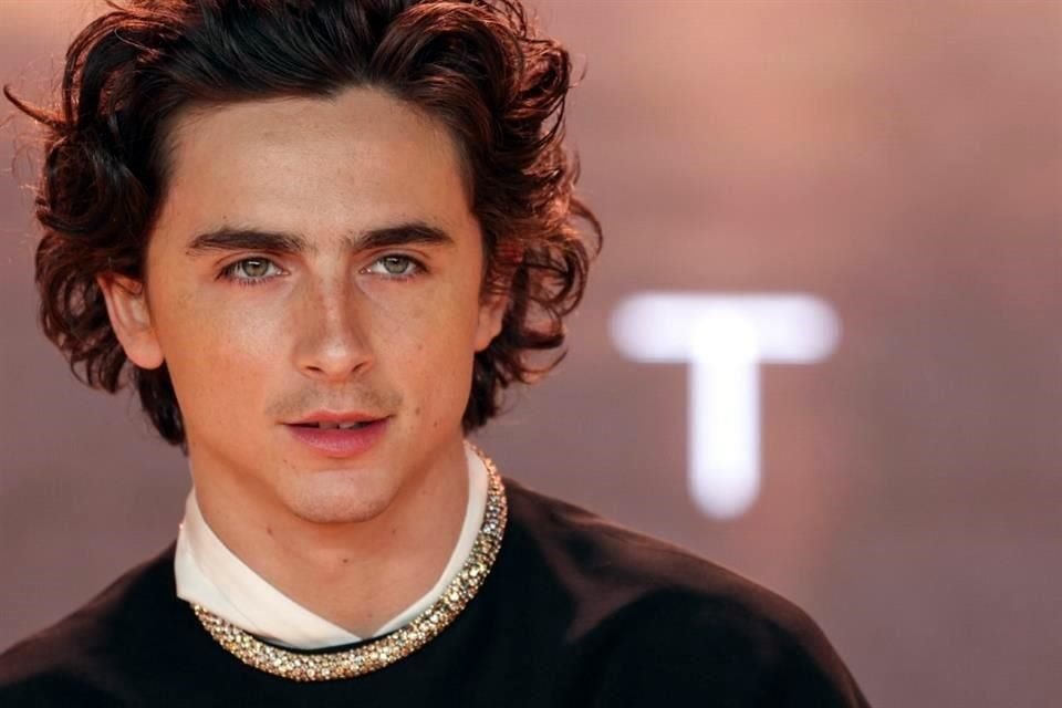 Chalamet complementó la sobriedad de su look con una magestuosa gargantilla repleta de joyas.