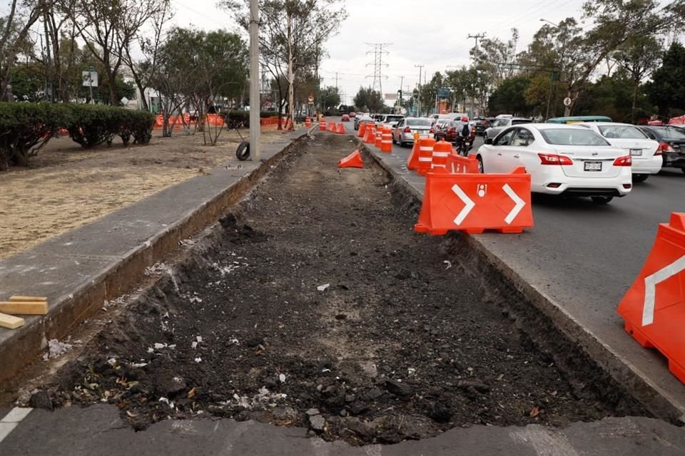 Vecinos de las colonias Ajusto y Los Reyes, en Coyoacán, señalaron el retiro de 10 árboles del camellón de Avenida Aztecas.