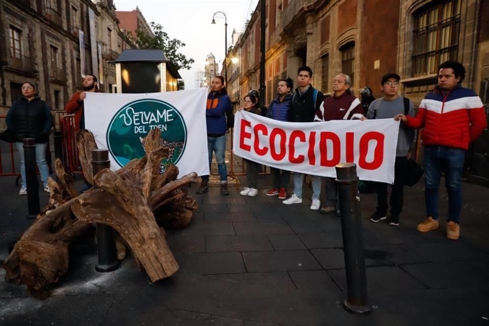 Con la raíz de un árbol talado por el Tren Maya, integrantes del colectivo #SélvameDelTren se manifestaron afuera de Palacio Nacional.