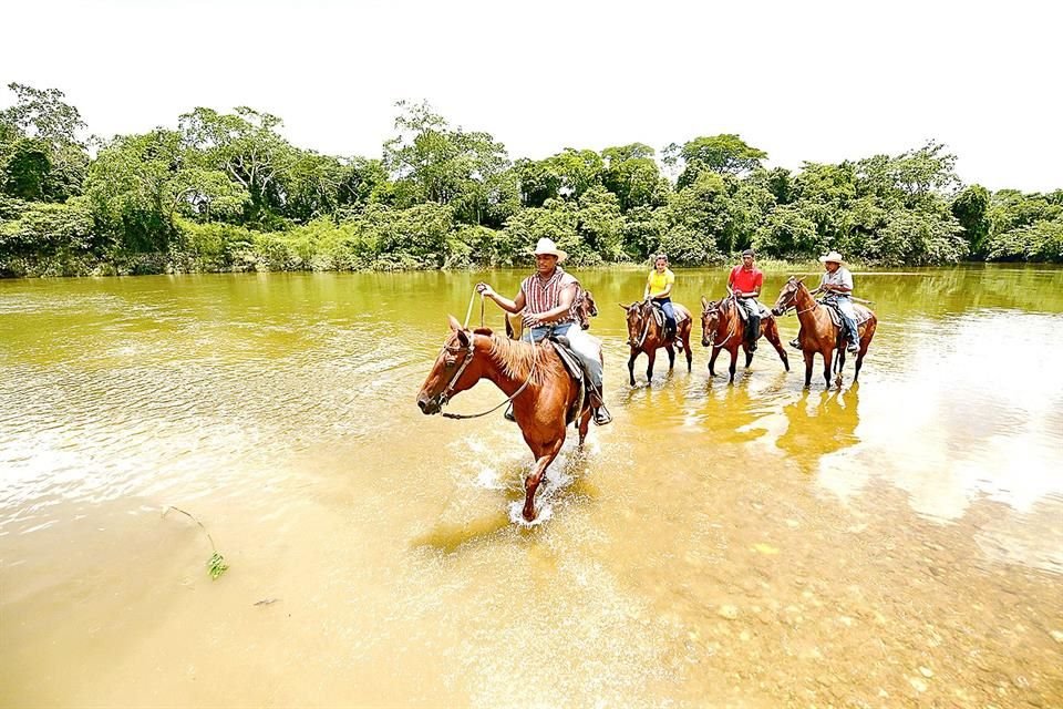 Realiza Cabalgatas.