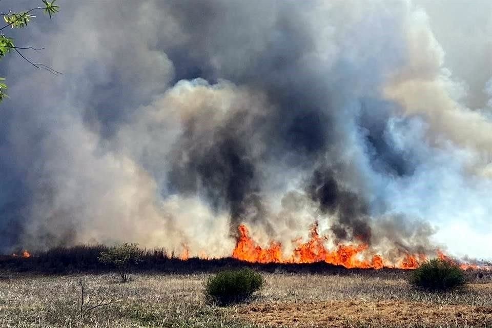 En medio de la contingencia ambiental, un incendio se registró en la zona de Cuemanco; autoridades aún no informan sobre la afectación.