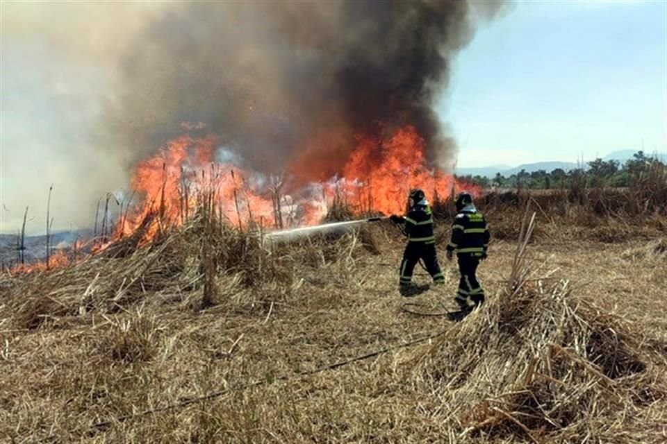 El incendio de ayer consumió 29 hectáreas de zonas naturales en Cuemanco, equivalente a casi cuatro veces y media el Estadio Azteca.