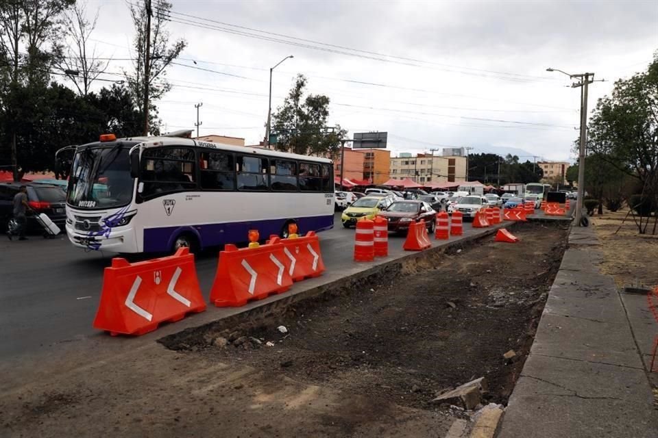 En zonas de la Alcaldía Coyoacán, ya fueron retirados árboles.