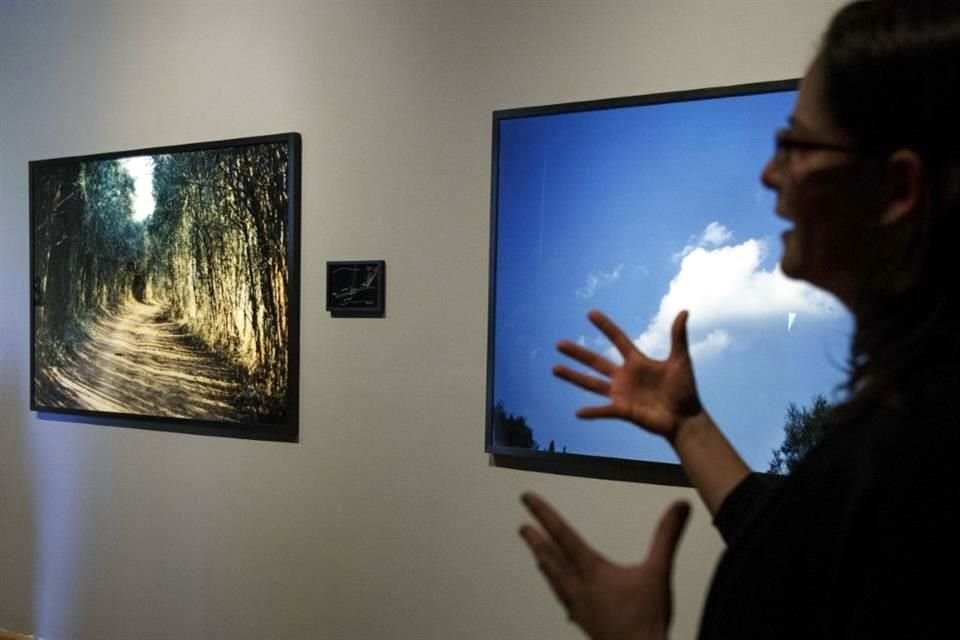 En 2015, Cuevas Guevara estuvo al frente de la muestra 'Rastros y vestigios, indagaciones sobre el presente', que presentó en el Instituto Cultural Cabañas de Guadalajara obras de la Colección Coppel.