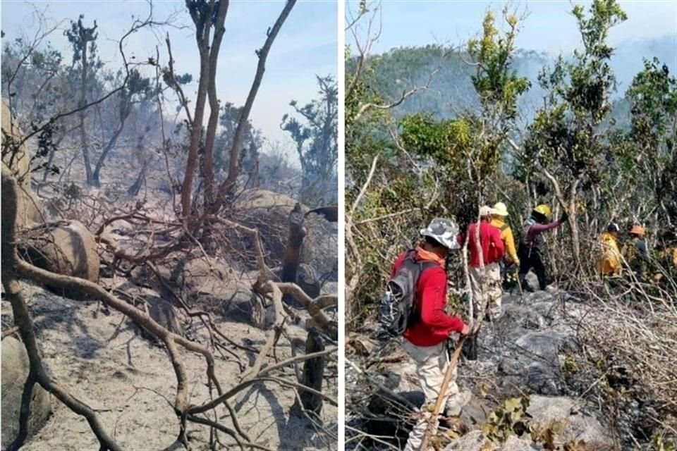 El incendio en el Parque Nacional fue provocado el pasado 29 de febrero por un grupo que intentó invadir predios en Acapulco, Guerrero.