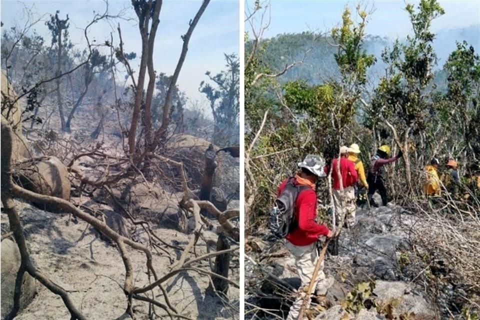 El incendio en el Parque Nacional fue provocado el pasado 29 de febrero por un grupo que intentó invadir predios en Acapulco, Guerrero.