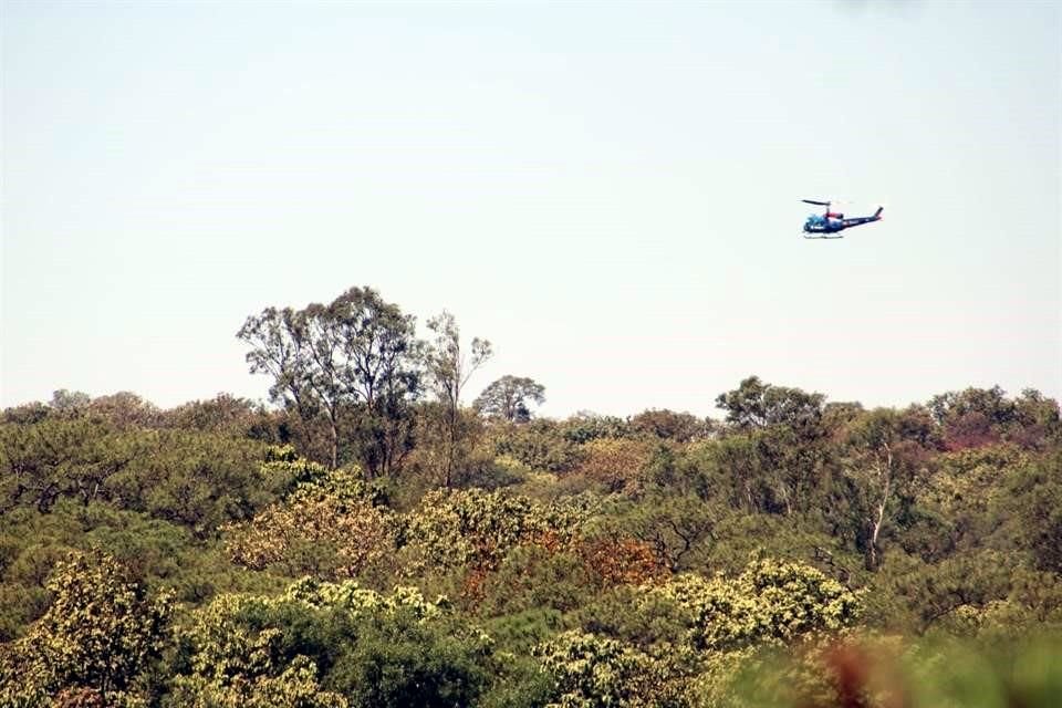 Dentro del bosque hay de base un helicóptero para atender incendios forestales.