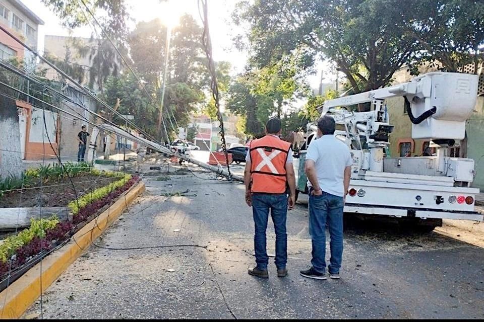 En Observatorio, un árbol arrasó al desplomarse con cables y quebró un poste de la CFE.