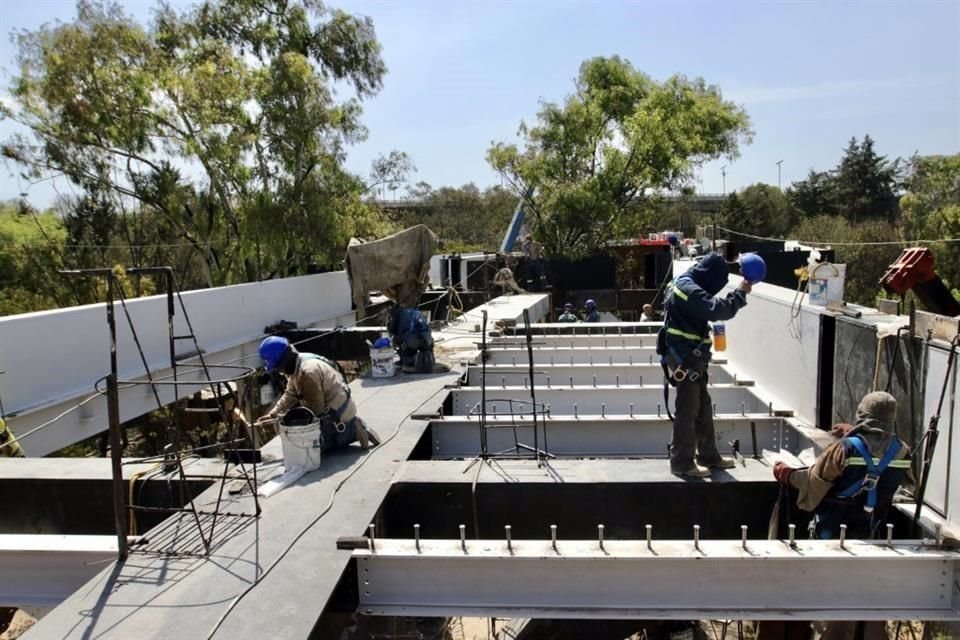 Para el proyecto fueron talados 159 árboles.