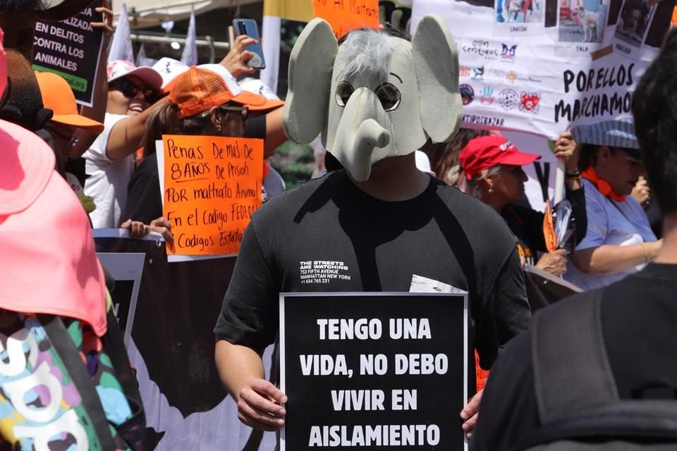 Otros casos de maltrato contra animales de compañía fueron recordados por los asistentes.