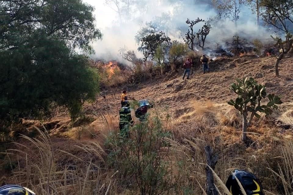 Bomberos atendieron un reporte de incendio en la Colonia Plan de Ayala.