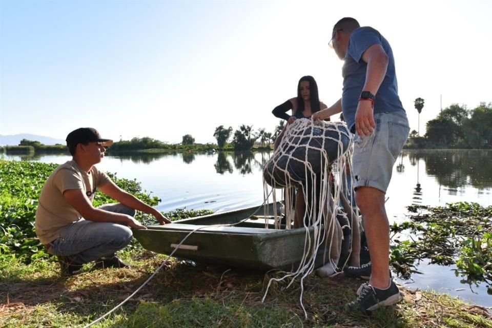 Como muestra eco-artística y a manera de protesta, fue lanzada al Río Santiago 'Medusa', una obra elaborada con cabello humano.