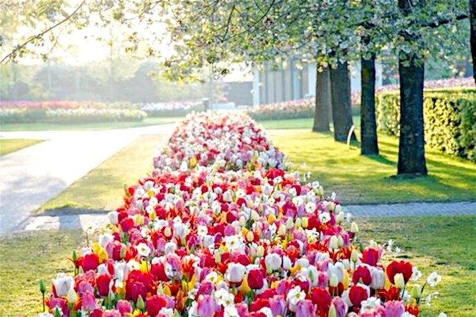 Keukenhof, Países bajos