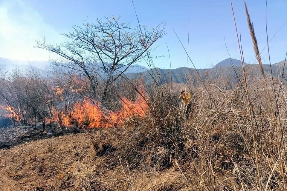 En Veracruz se reportan seis incendios forestales activos con 125 hectáreas afectadas.
