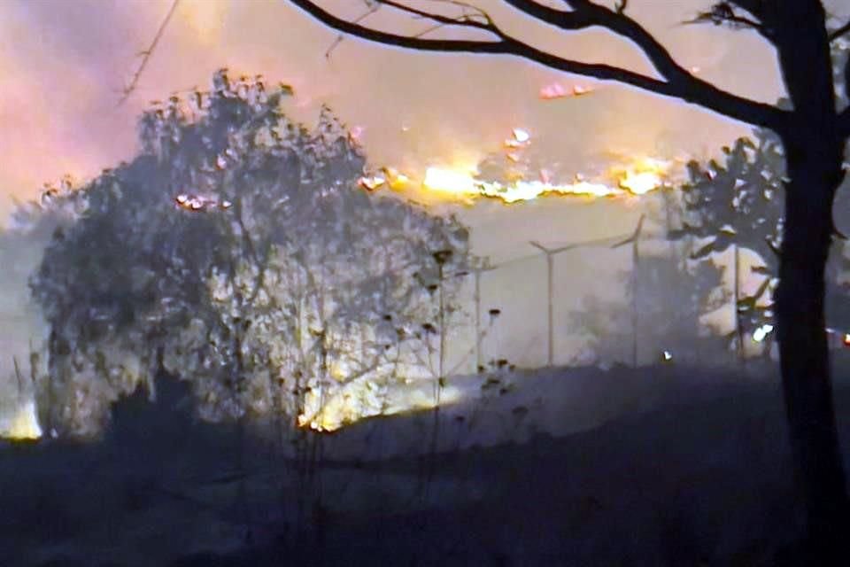 Autoridades afirmaron que no se harán cambios en uso de suelo de suelo de las zonas afectadas por los incendios.