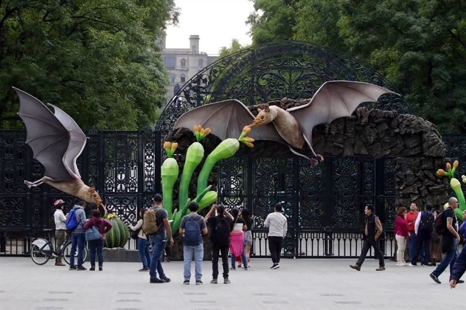 El Festival de Murciélagos se llevará a cabo del 28 al 31 de marzo en el Bosque de Chapultepec y espera la visita de 2 millones de personas.