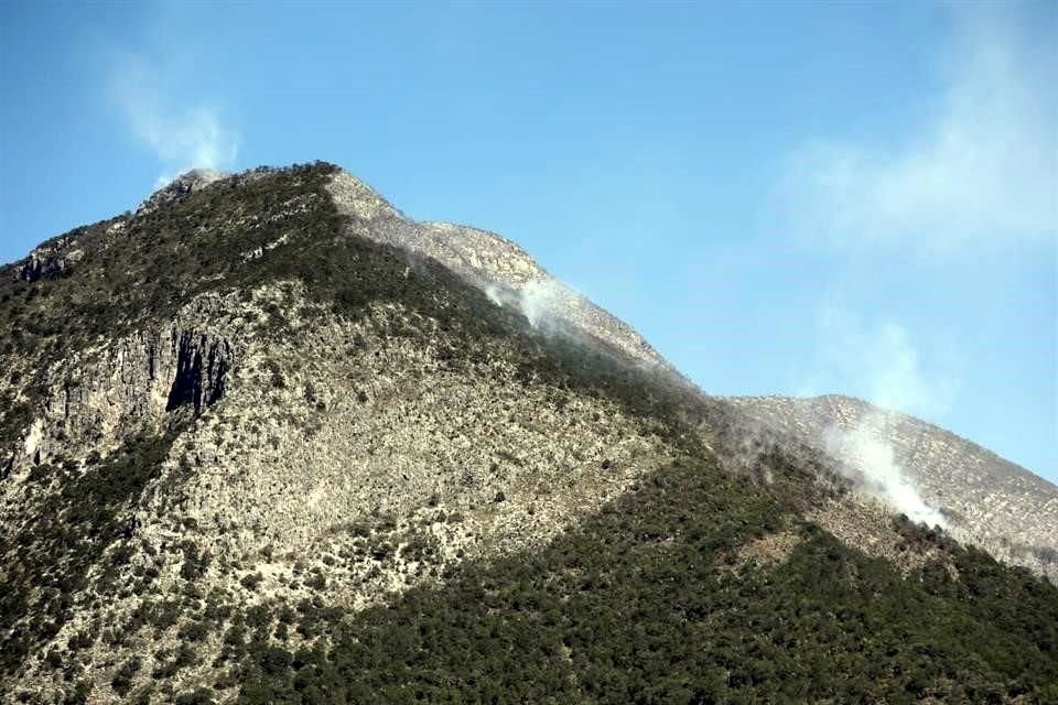 Dicho incendio ha consumido unas 80 hectáreas en lo alto del Cerro Las Palmeras, dijo Érik Cavazos, director de Protección Civil del Estado.