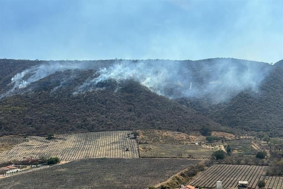 El fuego sigue avanzando por quinto día consecutivo en el ANP Cerro Viejo-Chupinaya-Los Sabinos, en Ixtlahuacán de los Membrillos y Chapala.