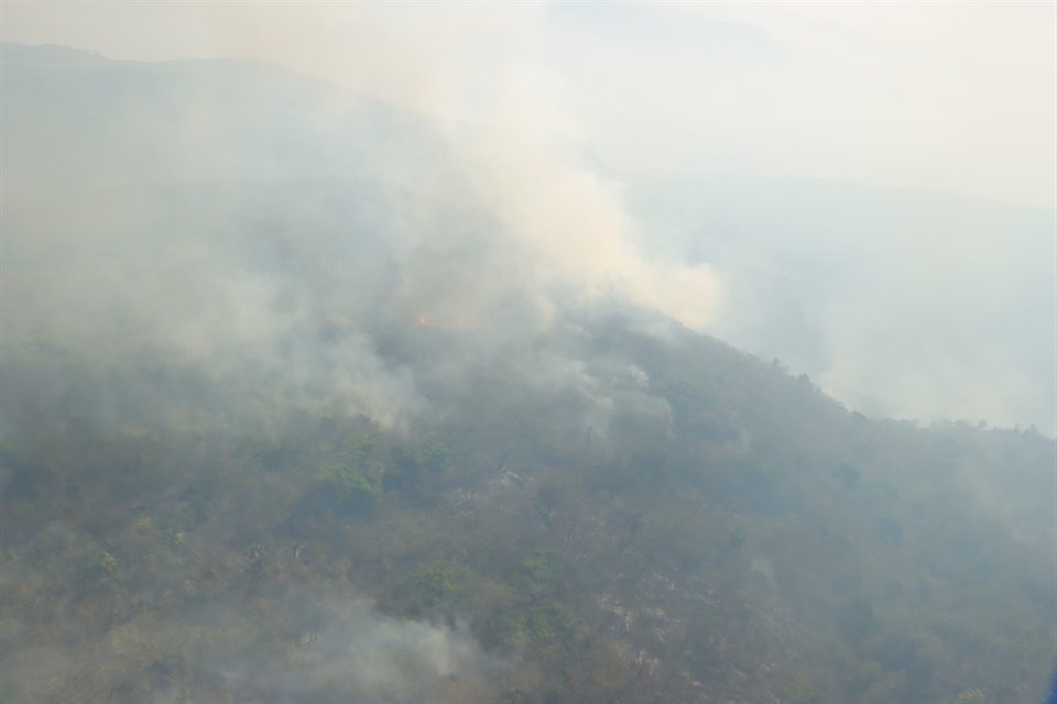 El número de incendios forestales activos en México se redujo de 84 en la noche del domingo a 69 que se registran este lunes.