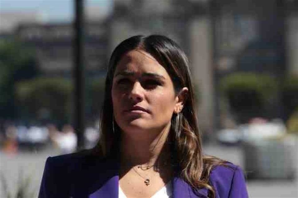 Alessandra Rojo de la Vega descartó contar con medidas extraordinarias de seguridad del 31 de marzo al 29 de mayo cuando la ley electoral prevé su promoción en las calles.