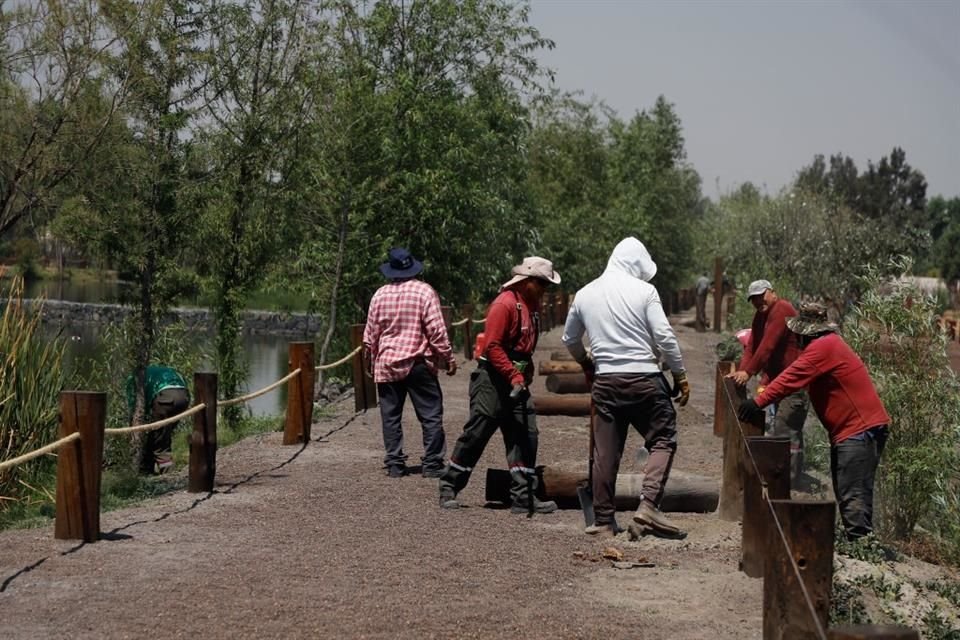 Para acreditar la factibilidad de rescatarla, fue generado el humedal con la chinampa, en donde ahora resurge la biodiversidad nativa de Xochimilco y Tláhuac.