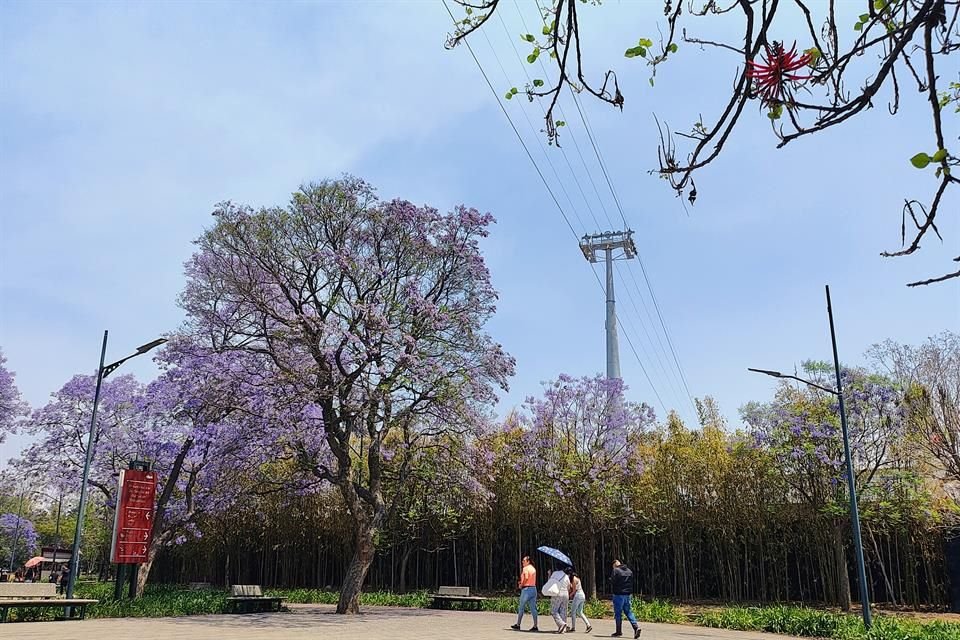 Las pruebas iniciaron desde el 23 de marzo, a pesar de los intentos de los colonos por frenar el avance de la obra por el derribo y tala de árboles en la zona.