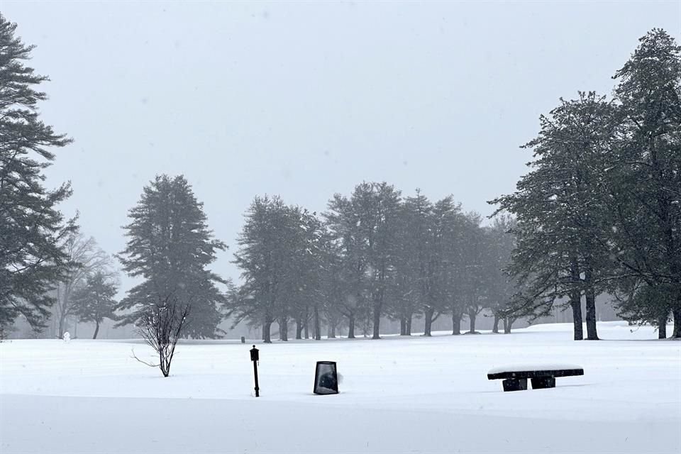 Una tormenta primaveral dejó a New Hampshire cubierto de nieve.