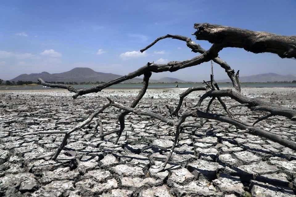 Pese a ser declarada como un Área Natural Protegida, el Lago de Tláhuac-Xico se encuentra a punto de la desaparición; hay espacios completamente secos.