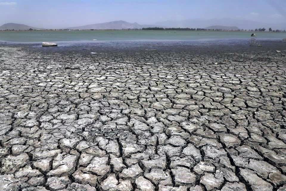 Donde antes había agua sólo queda suelo fangoso con sedimentos.