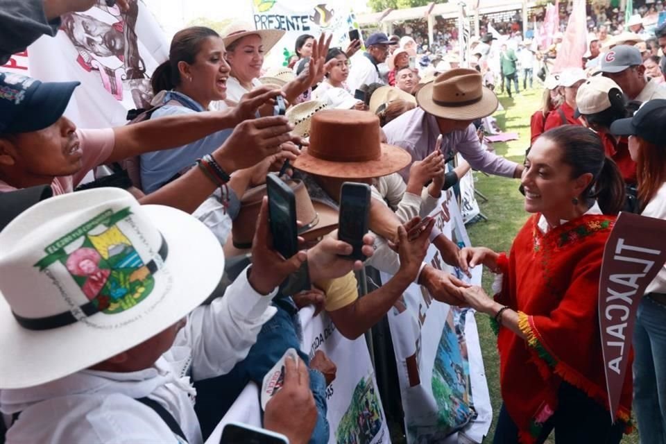 Sheinbaum prometió que se revisará el uso del herbicida glifosato, al considerar que no debe ser utilizado en los campos de México.