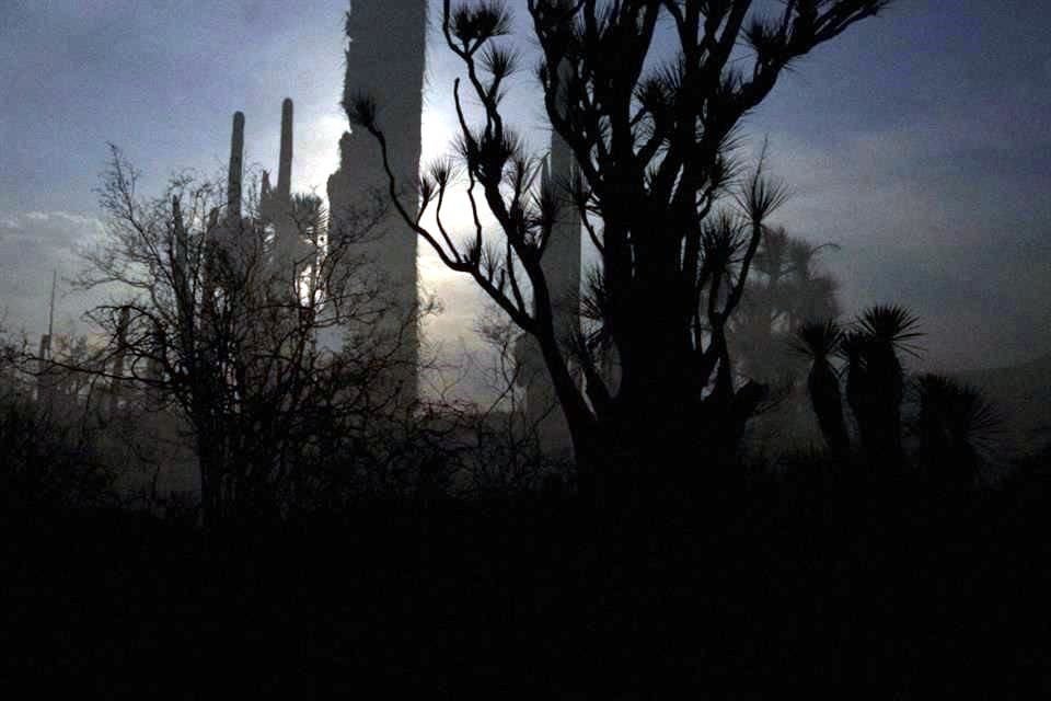 La pieza 'Saa Ñu'ú' ('Pájaros barro'), del artista mexicano Jorge Martínez Valderrama, es una suerte de paisaje sonoro de la región mixteca.