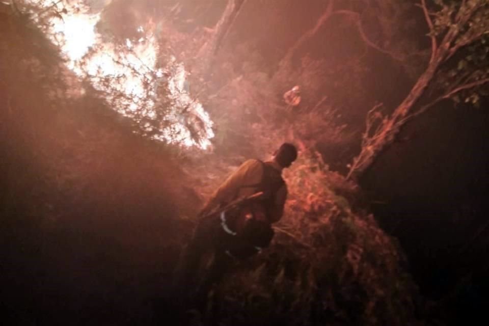 En Jalisco, 3 de cada 10 incendios son deliberados.