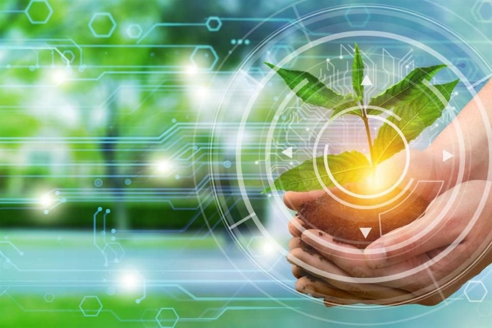 La inversión en la agricultura permite generar innovación y tecnología, necesarias para producir con menos recursos y de manera amigable con el medioambiente.