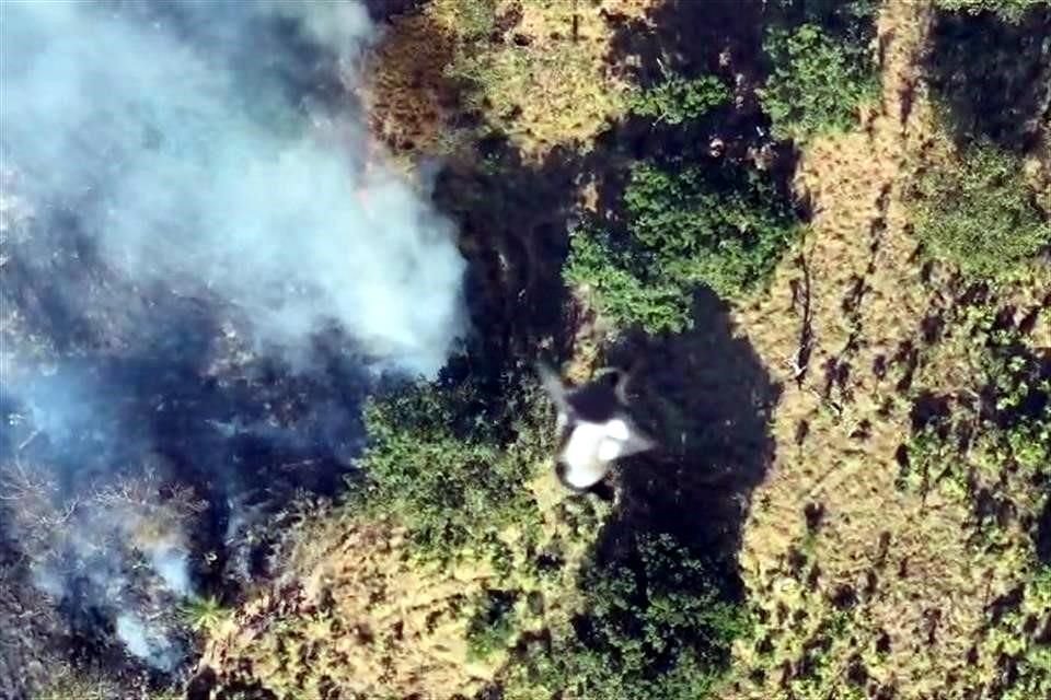 Un proyectil cae sobre un área forestal.